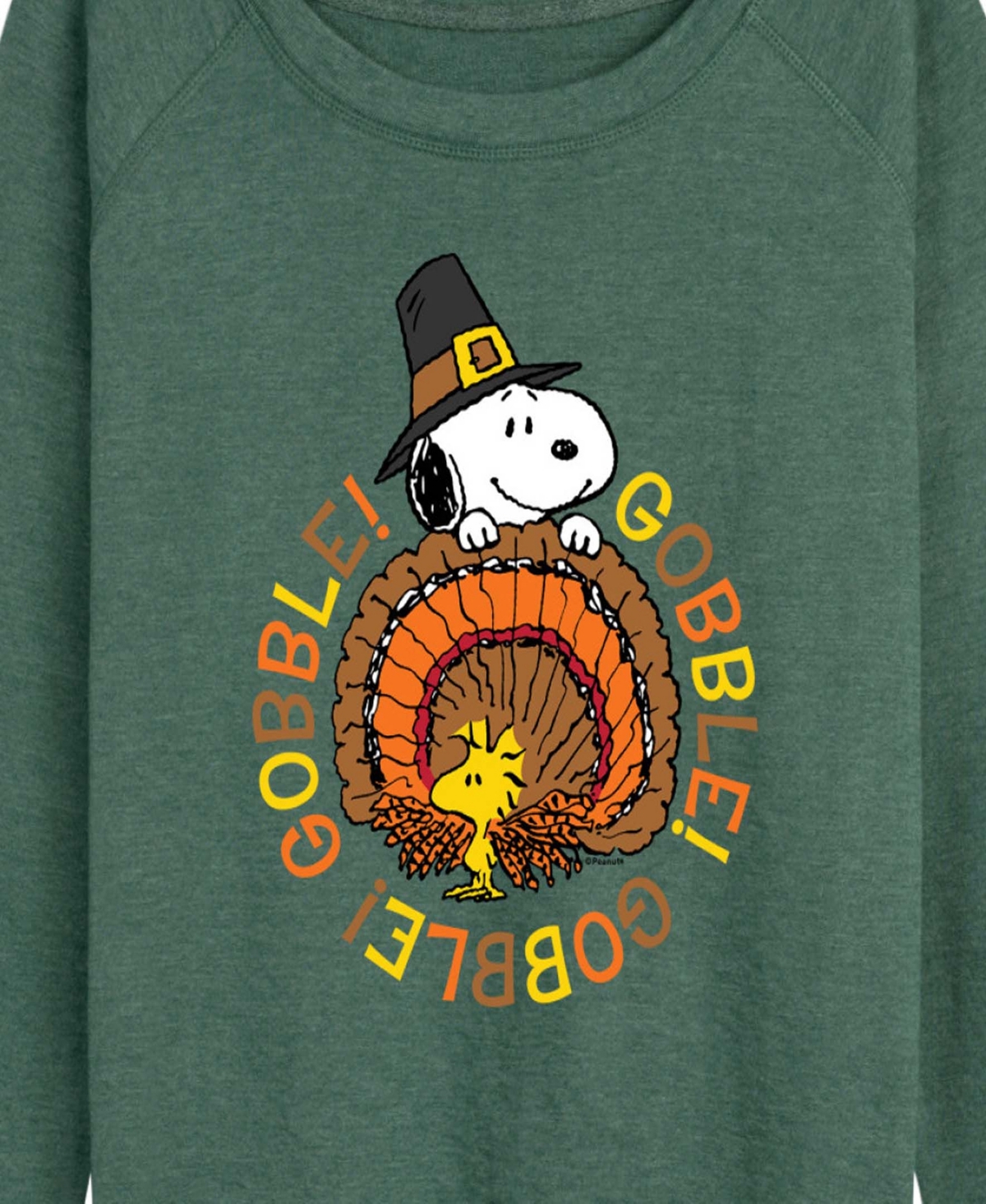 Hybrid Apparel Thanksgiving Turkey Snoopy And Woodstock Women's French Terry Long Sleeve Shirt In Green