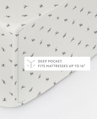 Holiday Pattern 4-Pc. Sheet Set, Full