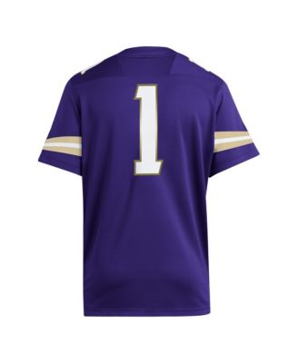 Men's Purple Washington Huskies Premier Jersey