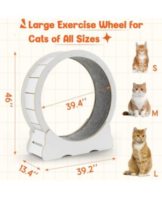 43.3'' Cat Wheel for Indoor Cats