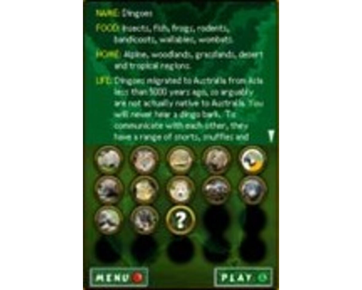 Zoo Quest Puzzle Fun!