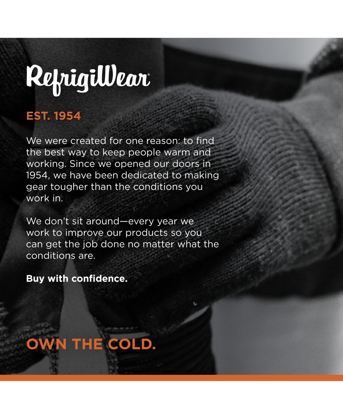 RefrigiWear Men's Moisture Wicking Stretch Fit Glove Liners (Pack of 12 Pairs)