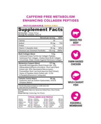 Multi Collagen Burn, Tropical Punch, 325gm