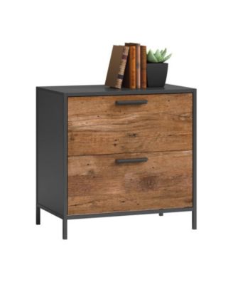 Storage File Cabinet with 2 Drawers