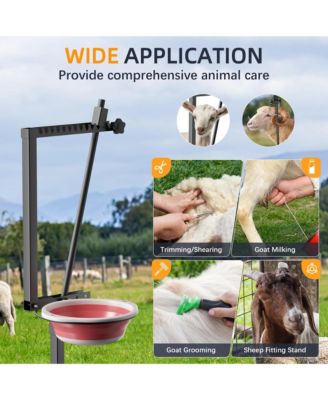 600 lbs Capacity Adjustable Goat Trimming Stand with Headpiece and Feed Bin – Foldable Grooming and Milking Platform