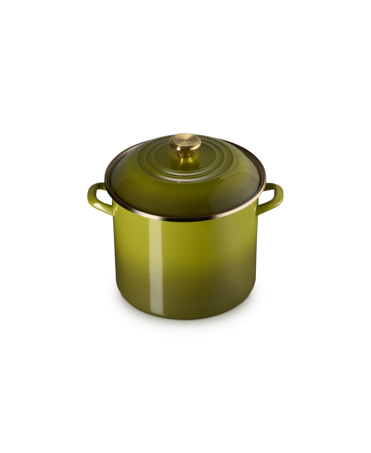 Le Creuset Enamel On Steel 12-quart Classic Round Stockpot In Green