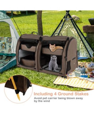 Double Compartment Pet Carrier with 2 Removable Hammocks