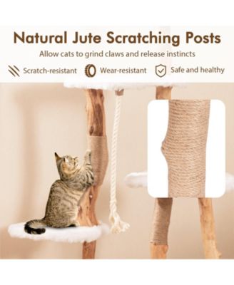 66 Inch Tall Solid Wood Cat Tree Modern Wooden Cat Tower with Perch