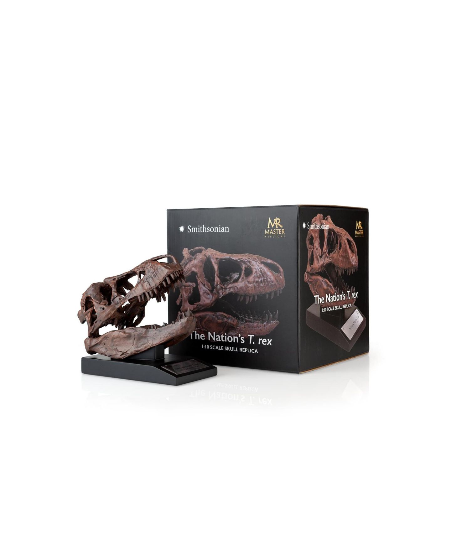 Детские фигурки Master Replicas The Nation's T-Rex Smithsonian 1:10 Scale 6" Skull Replica, 14 Years & Up, цвет: Assorted Pre-Pack — фото 4