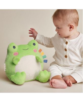 Baby Sweetie Snuggles Frog
