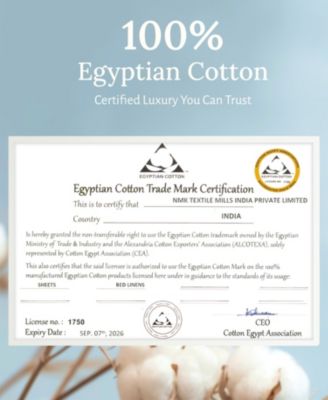 Certified Luxury 100% Egyptian Cotton Sheets, Queen Sheets for Queen Size Bed, 4 Piece Deep Pocket Bed Sheets Set, Sateen Cooling Sheets for Hot Sleepers by California Design Den
