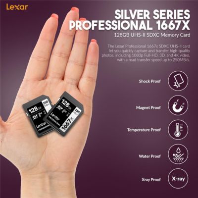 Z 30 Mirrorless Camera with NIKKOR Z DX 12-28mm f/3.5-5.6 PZ VR Lens, Bundle with 128GB Memory Card, Backpack, EN-EL25 Battery, Dual Smart