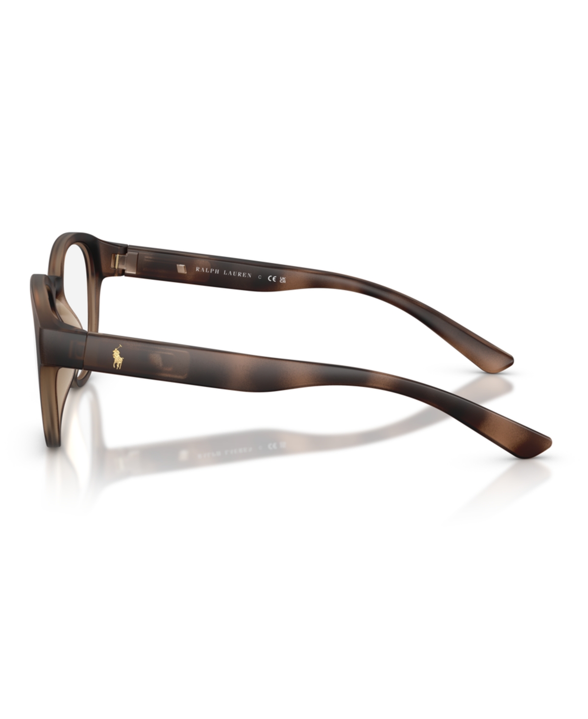 Polo Ralph Lauren Men's Panthos Eyeglasses
