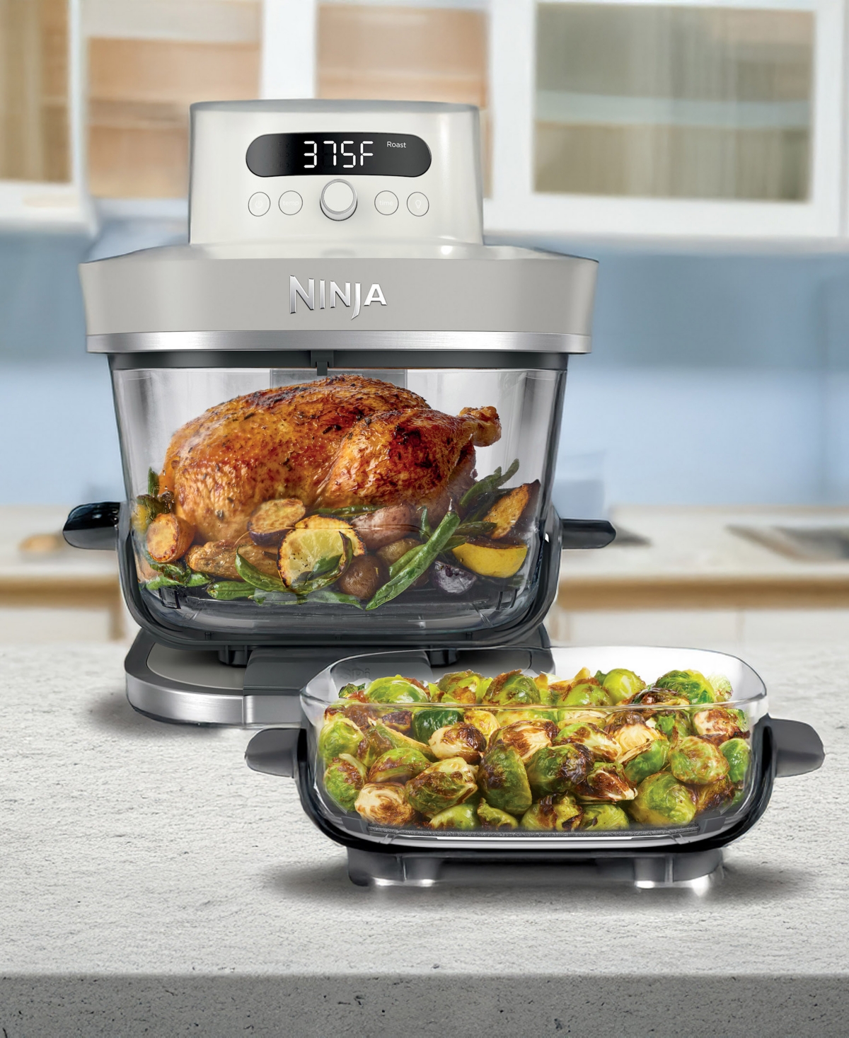 Ninja Crispi Pro 6-in-1 Countertop Glass Air Fryer In Black