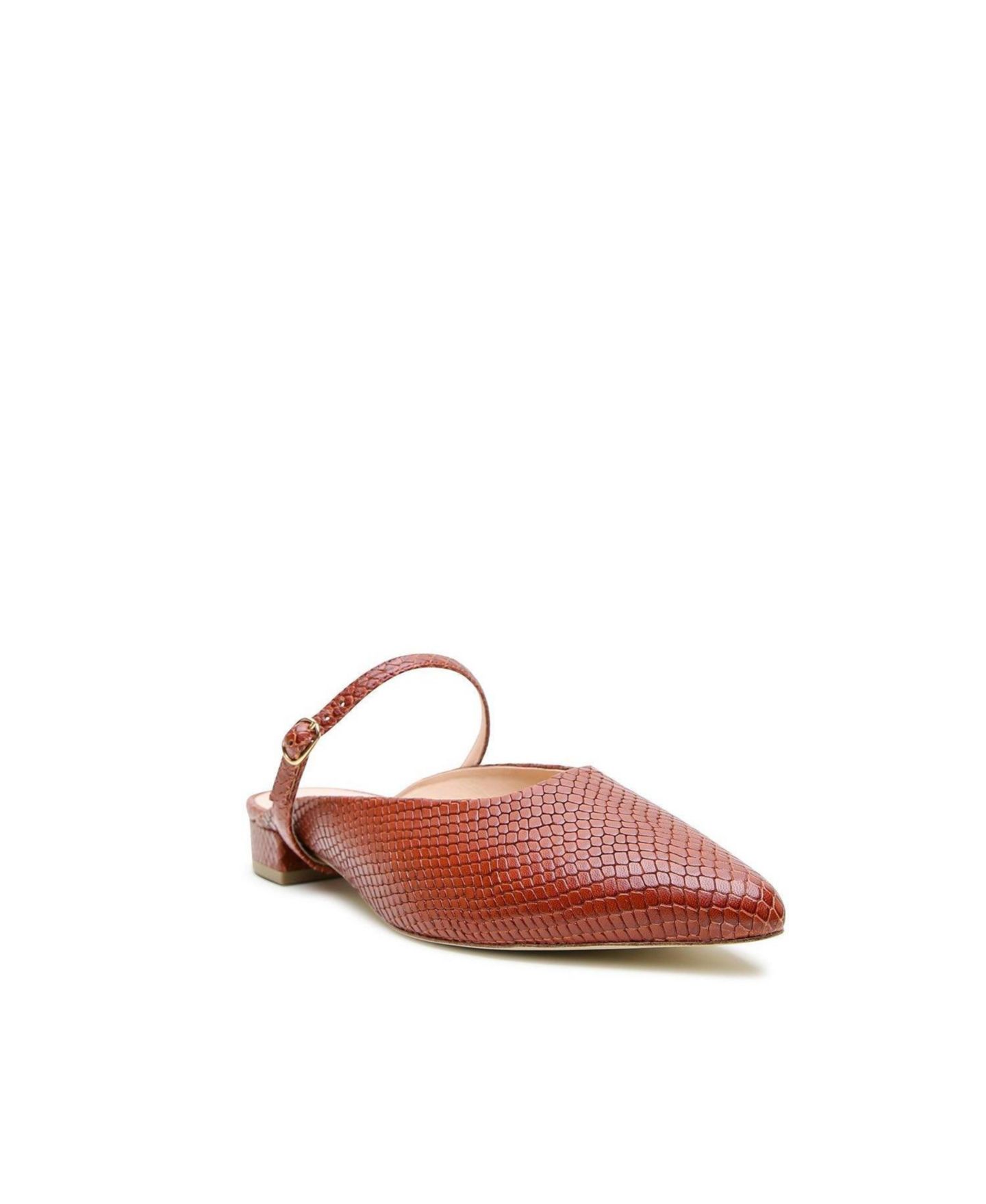 Женские сандалии Alterre Brown Snake Twiggy Customizable Point Slide, цвет: Коричневый змеиный — фото 1