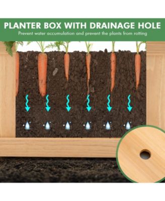 Folding Wooden Raised Garden Bed with Removable Bottom for Herbs Fruits Flowers