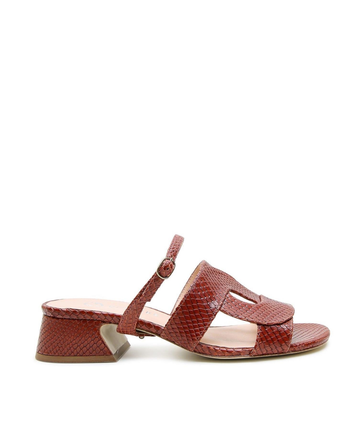 Alterre Women's Twiggy Brown Snake Customizable Loop Sandal