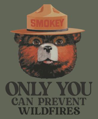 Men's Short-Sleeve Smokey the Bear Only You Graphic T-Shirt