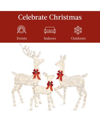 3-Piece Lighted Christmas Deer Set Outdoor Yard Decoration with 360 LED Lights, Stakes