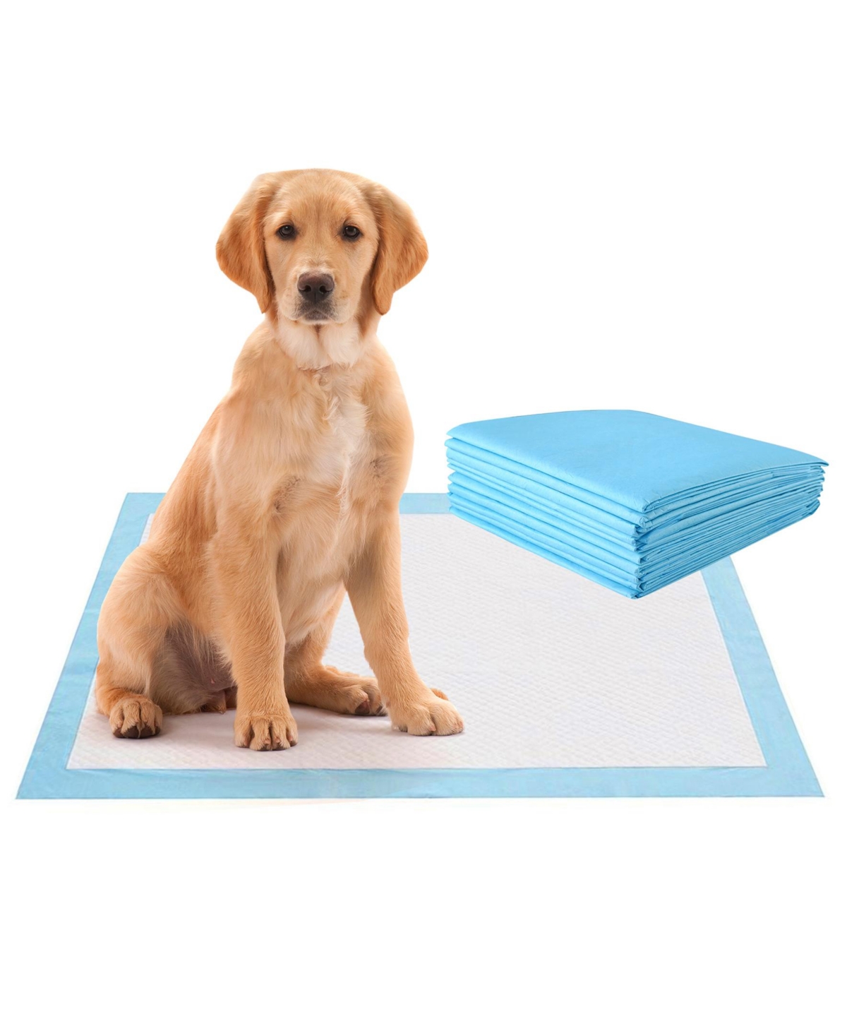 Sugift 150 pieces 30 x 30 Inch Pet Wee Piddle Pad
