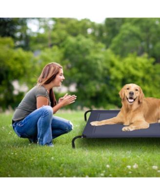 Large Indoor Outdoor Camping Steel Frame Elevated Pet Cot Mat
