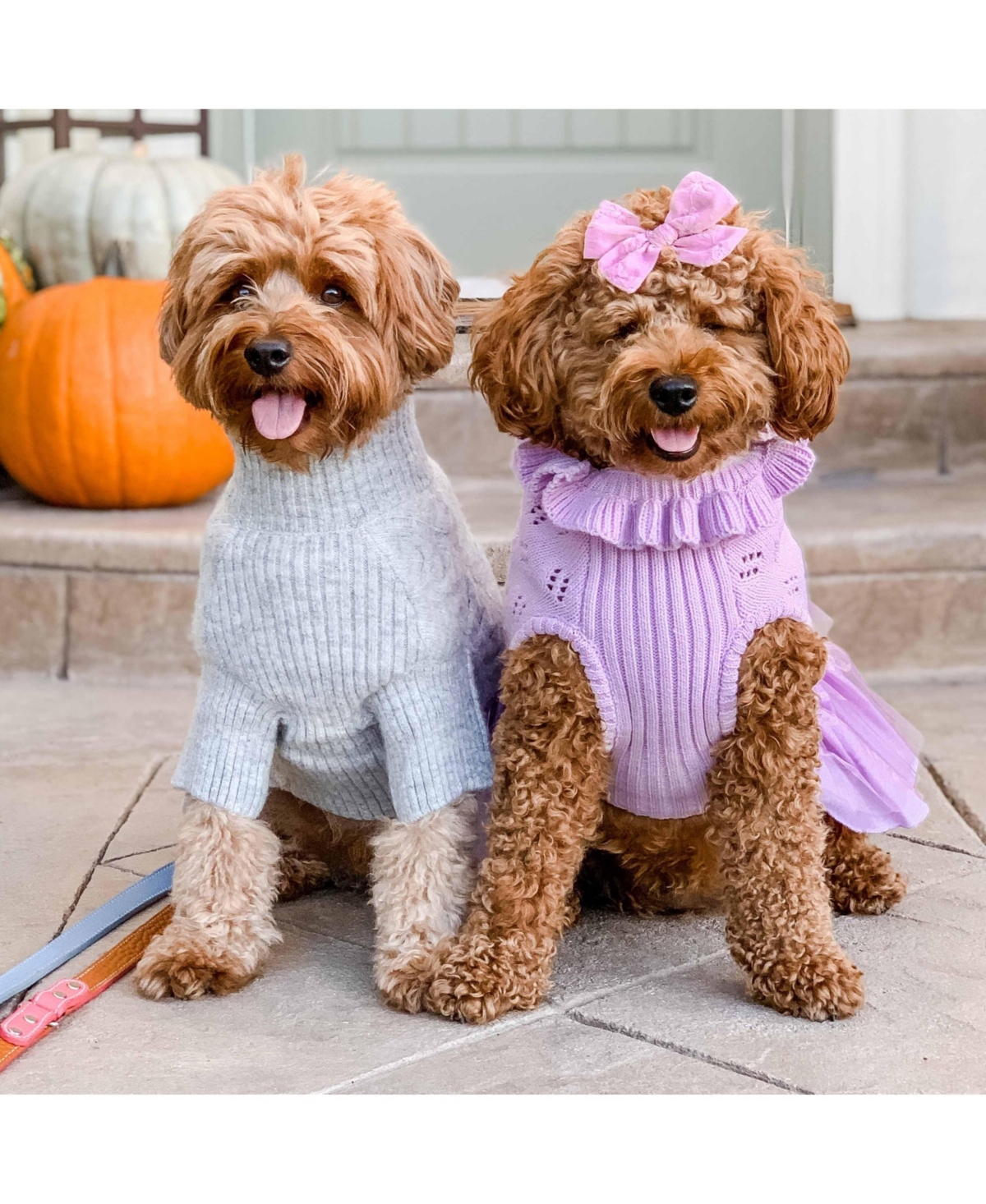 Blueberry Pet My Cutie Princess Ruffle Collar with Layered Tulle Dog Sweater Dress
