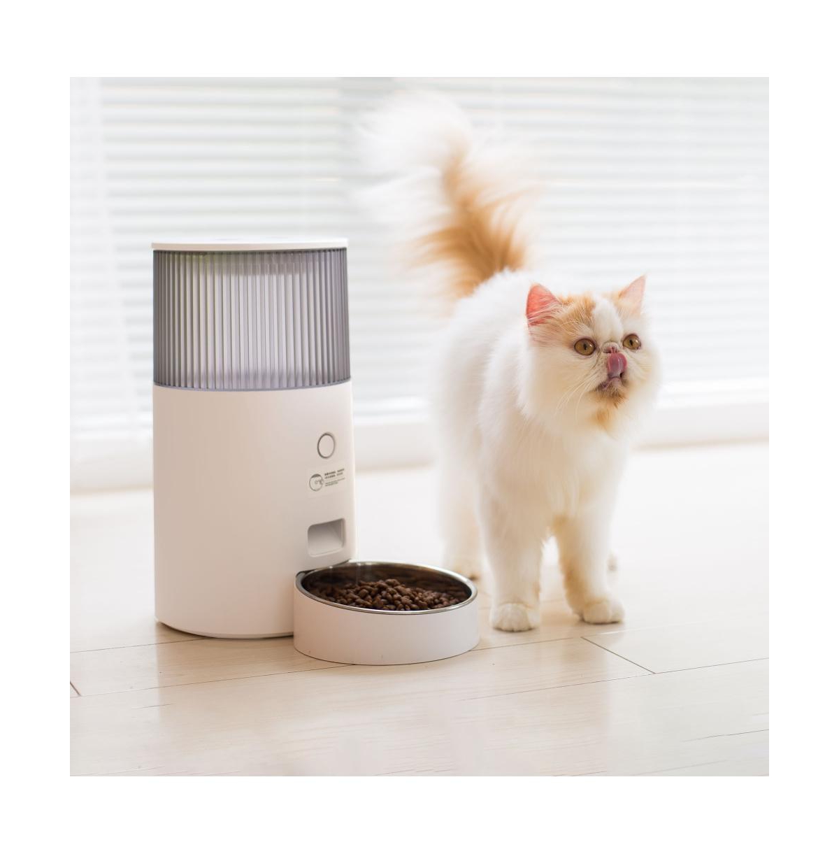 PetMarvel Automatic Mini Smart Cat Feeder