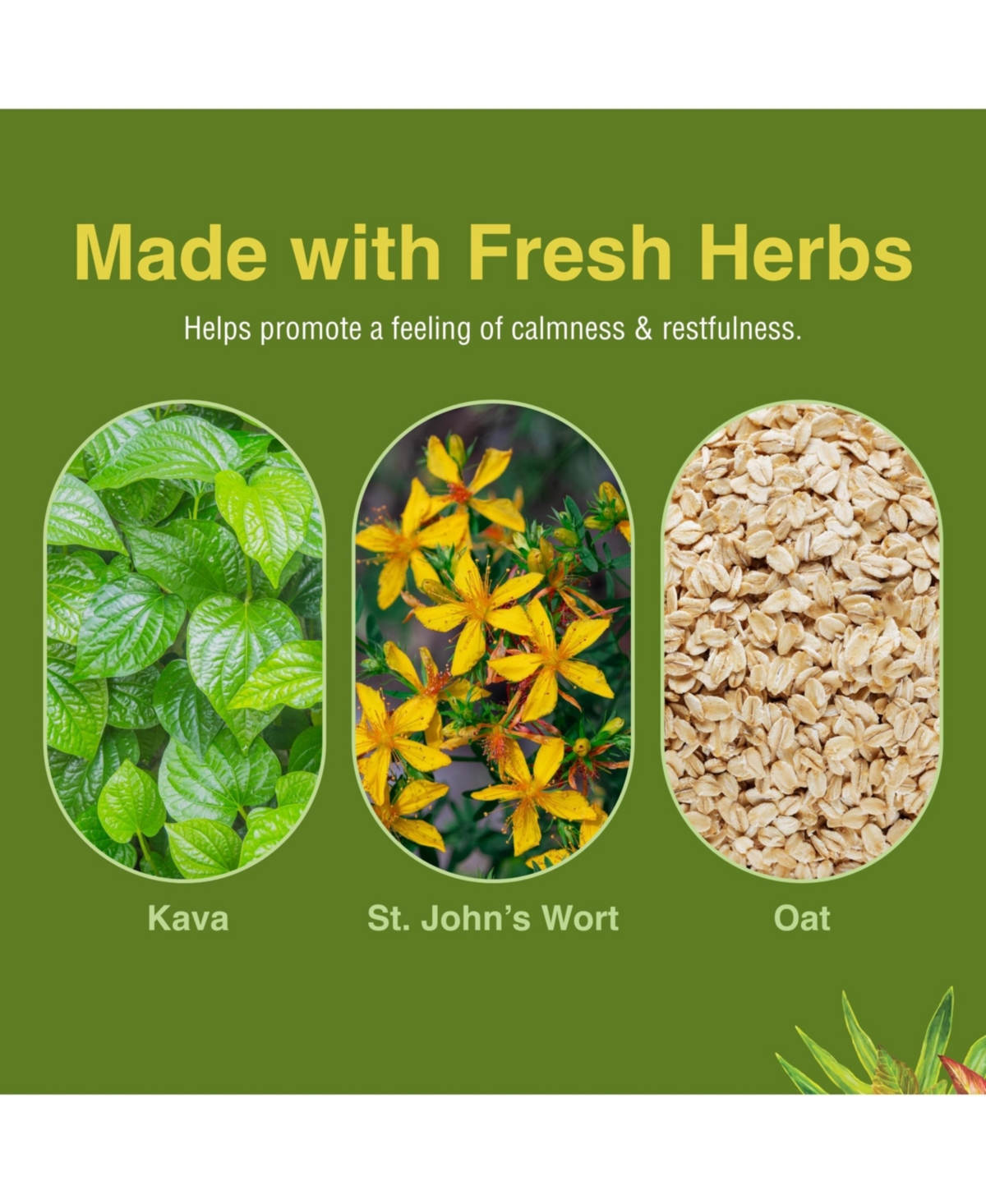 Trace Minerals Herbs Etc. Kava Cool Complex