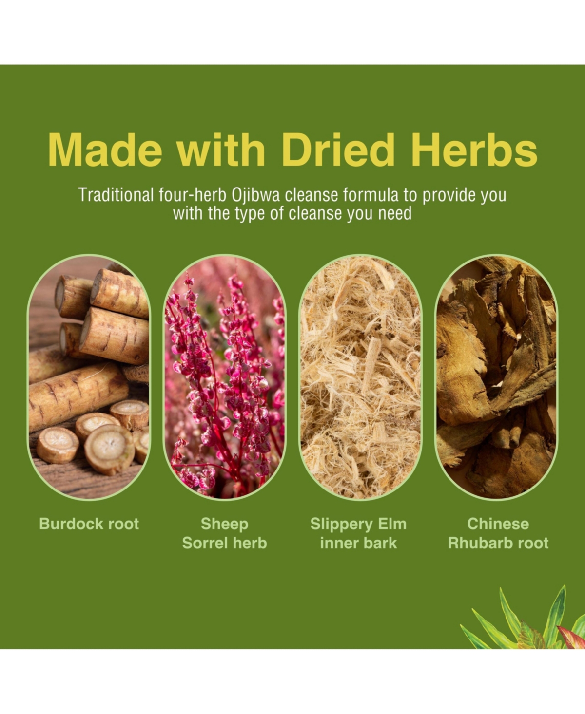 Trace Minerals Essiac Tonic