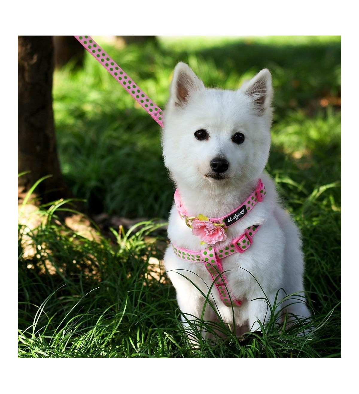 Blueberry Pet Velvety Polka Dot Dog Step-in Harness with Bow