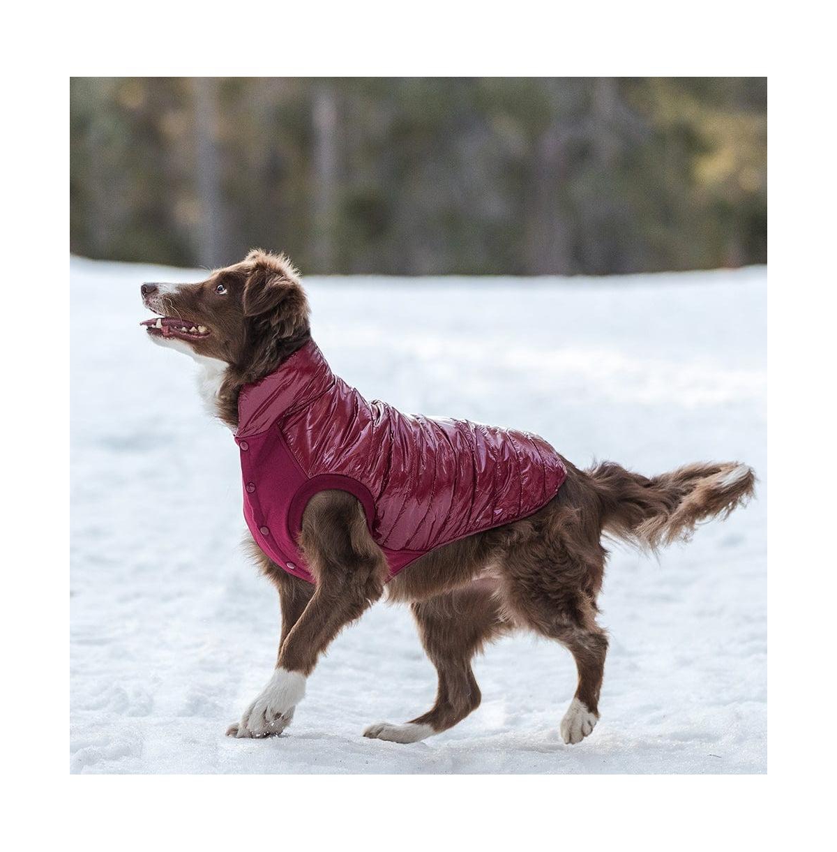 Blueberry Pet GlossPaws Lightweight Quilted Dog Puffer Jacket