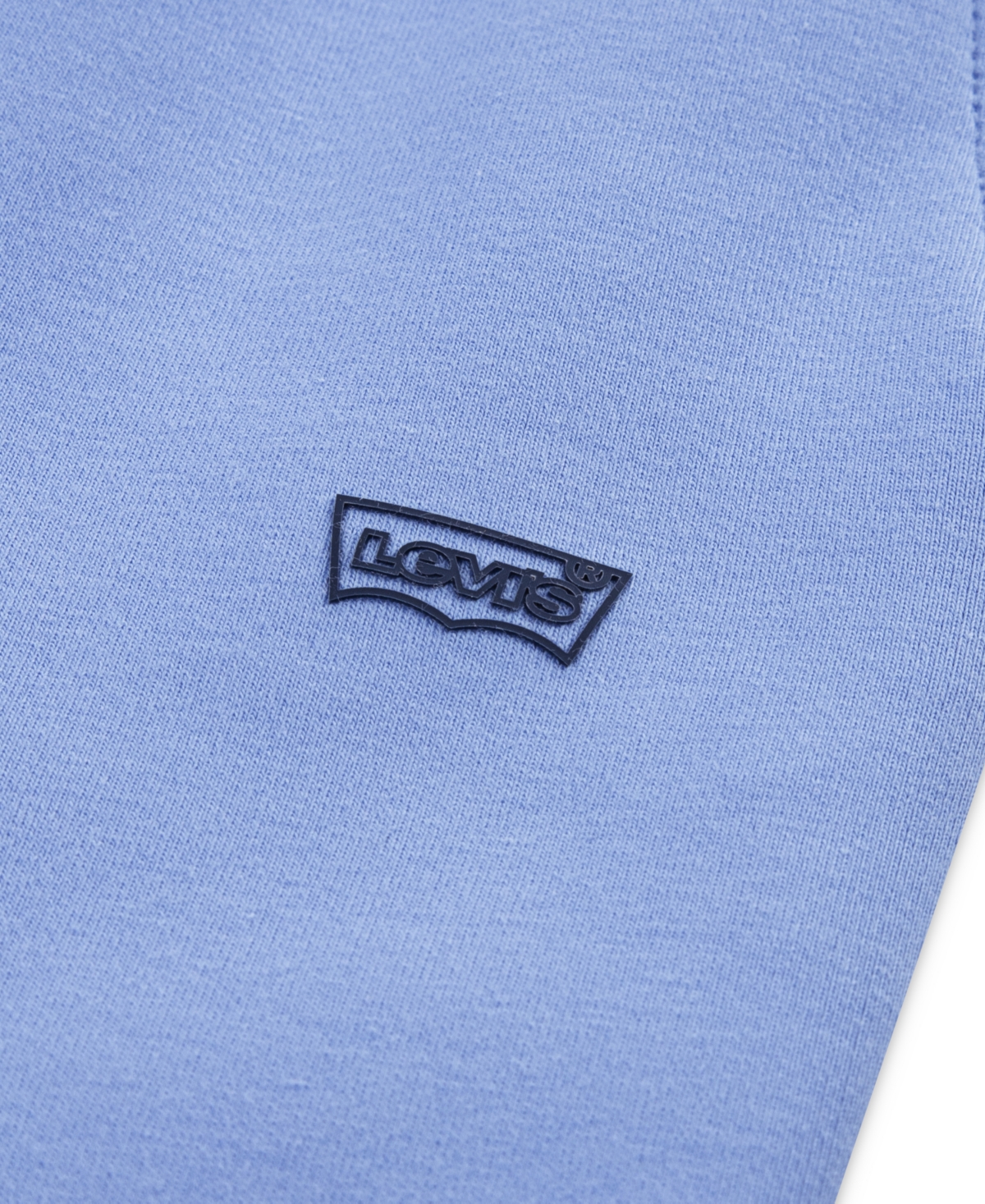 Levi's Little Boys 2-Piece Batwing Crewneck and Joggers Set