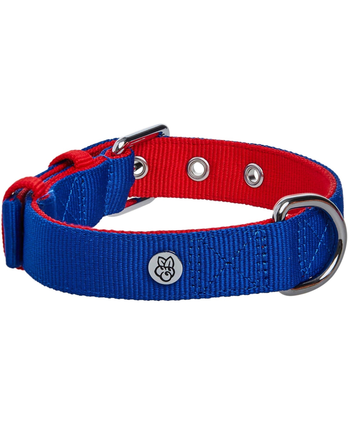 Blueberry Pet Color-Block with Metal Buckle Dog Collar Sky Blue and Dark Green Neck 13"-16.5" Medium
