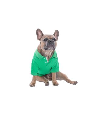 Parisian Pet Polo Green