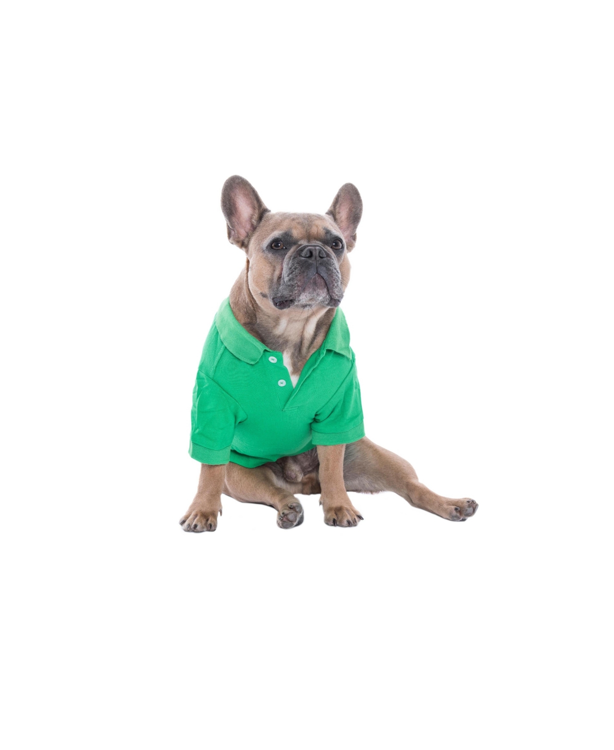 Parisian Pet Polo Green