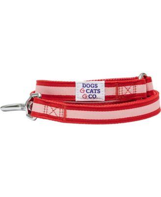 Dogs & Cats & Co. Striped Dog Leash in Red and Pink Size Small