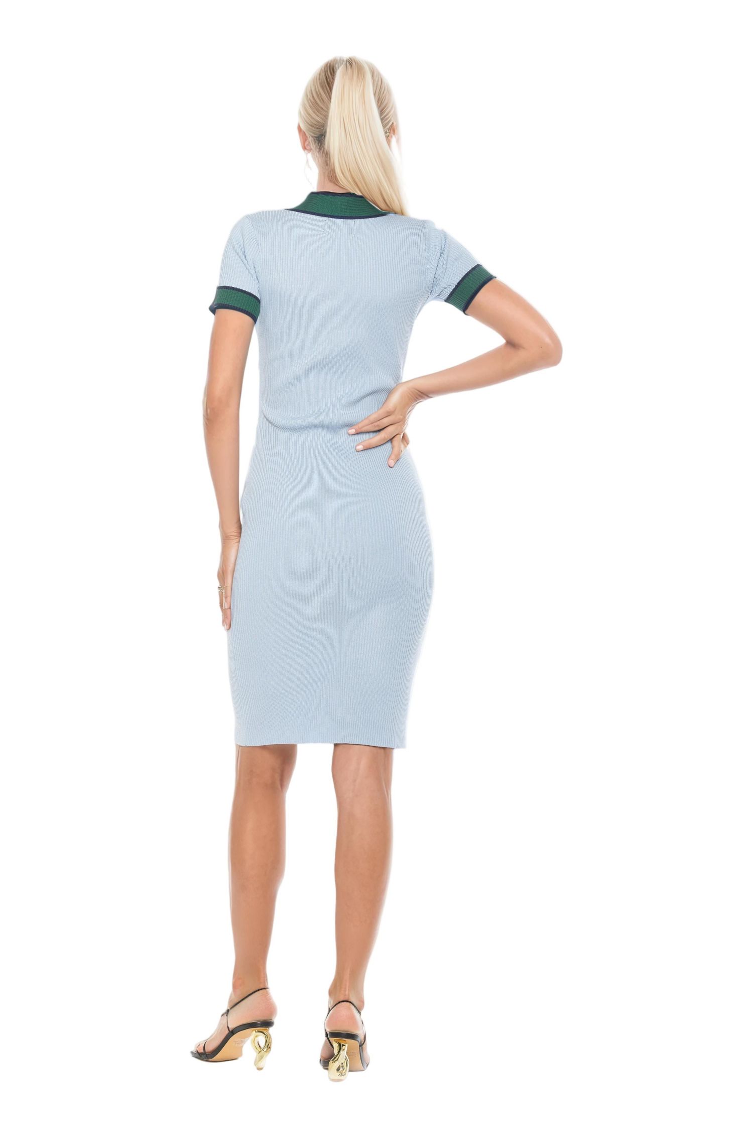 Women's Otto V Neck Ribbed Knit Dress