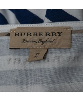 Women's Blue Graphic Stripe Print Cotton Boat Neck T-Shirt