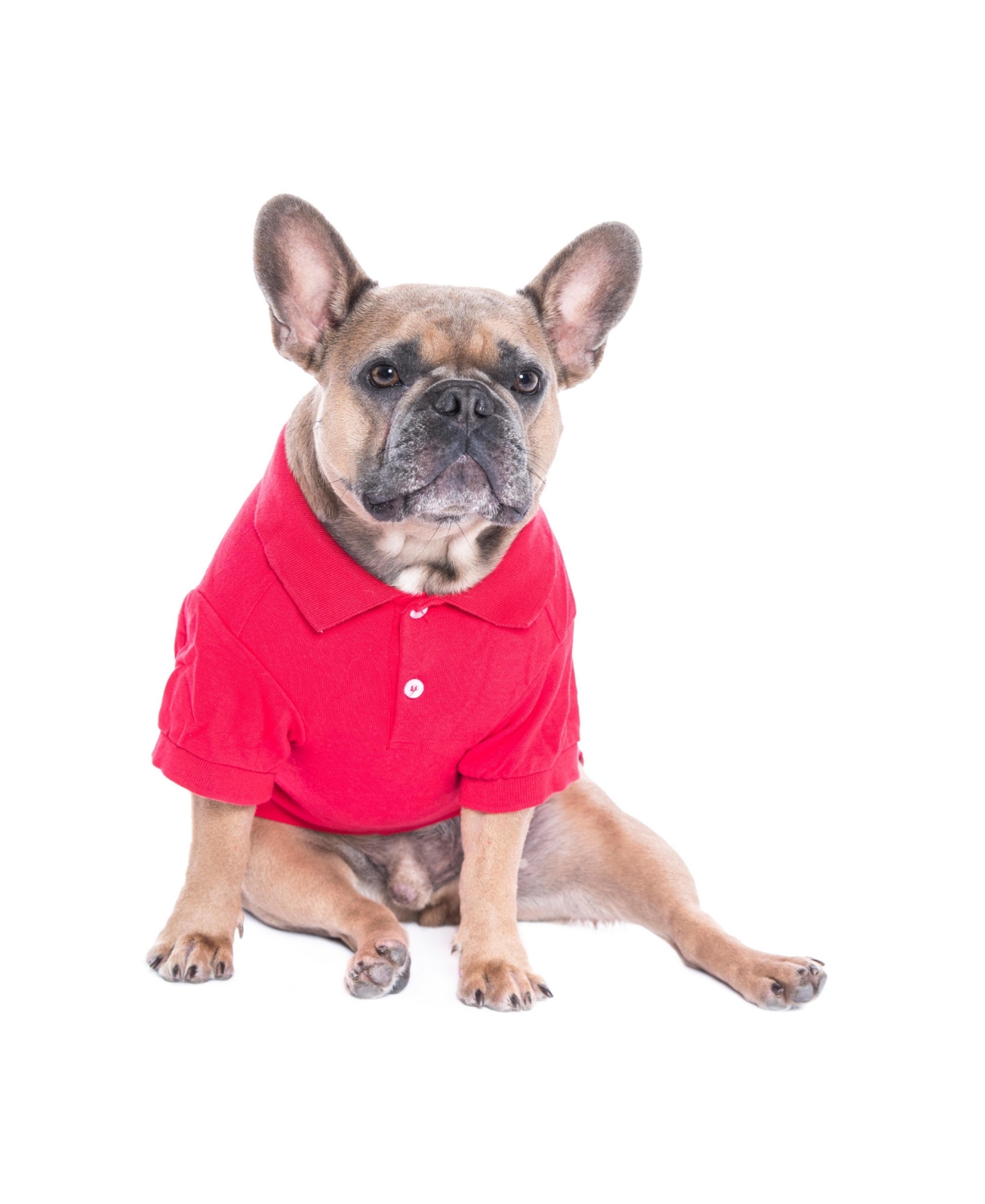 Parisian Pet Polo Red