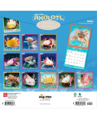 Adorable Axolotl | 2026 12 x 24 Inch (Hanging) Monthly Square Wall Calendar | Plastic-Free