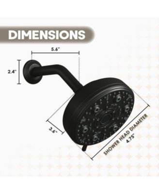 Moen Replacement Shower head