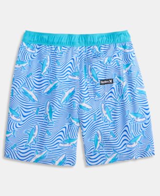 Boys' 8-20 Dizzy Shark Pull-On Swim Trunks