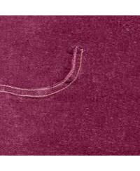 Women's Within Tall Flex-Fit Pull-On Bootcut Gap-Free Stretch Denim Jeans