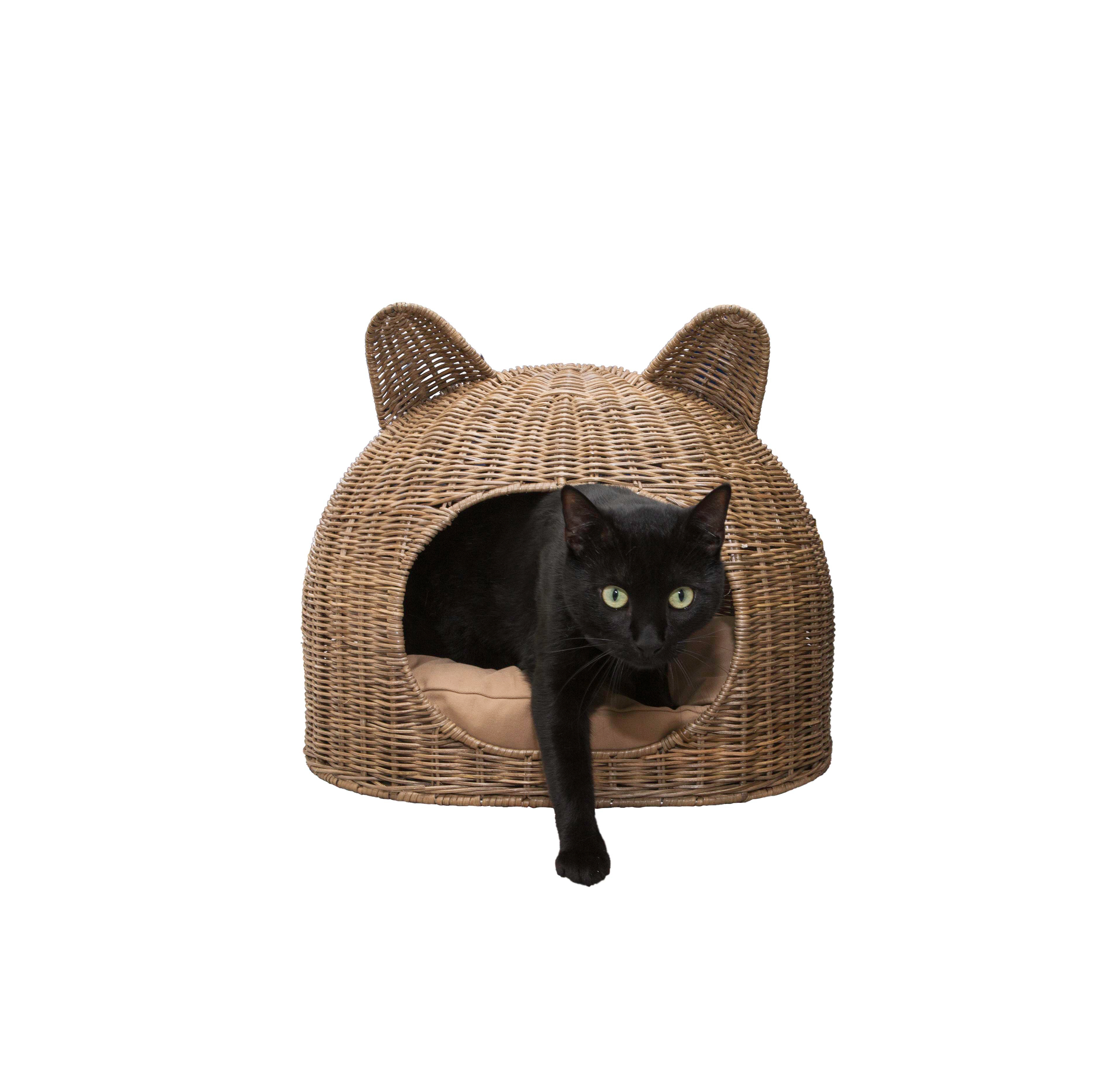 The Licker Store Cat Ear 20" x 14.5" Coastal Handwoven Rattan Pet Bed with Machine-Washable Cushion