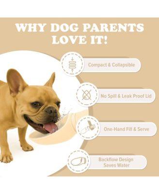 Collapsible Dog Water Bottle