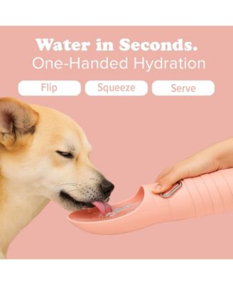 Collapsible Dog Water Bottle