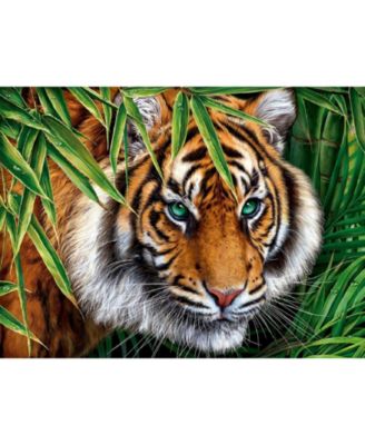Big Tiger 1000 piece Jigsaw Puzzle for Adults