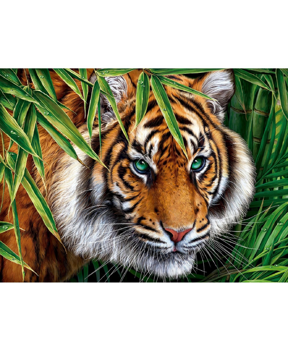 SunsOut Big Tiger 1000 piece Jigsaw Puzzle for Adults