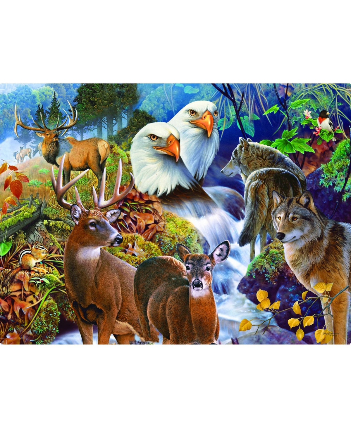 SunsOut Forest Neighbors 1000 piece Jigsaw Puzzle for Adults