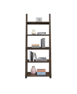 5-Tier Storage Shelf with Ladder Design